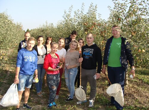 Здорові рослини сьогодні – високі врожаї завтра
