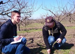 Студенти УНУС вивчають методи обліку комах