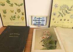 Дні європейської спадщини в Уманському НУС