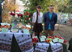 Участь Уманського НУС у святкуванні Дня міста