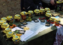 Участь Уманського НУС у святкуванні Дня міста