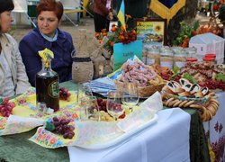Участь Уманського НУС у святкуванні Дня міста