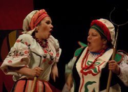 Перипетії Кайдашевої сім’ї: погляд з залу