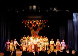 Перипетії Кайдашевої сім’ї: погляд з залу