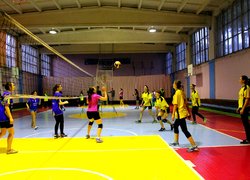 Чемпіонат Уманського НУС з волейболу.
