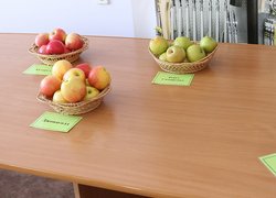 Наукові розробки УНУС зацікавили компанію «Microspore Spa»