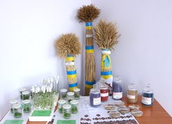 Наукові розробки УНУС зацікавили компанію «Microspore Spa»
