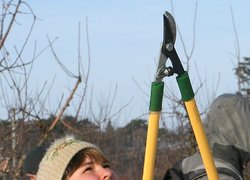 Практична підготовка – основа знань