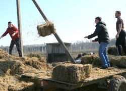 В Уманському НУС закладено яблуневий навчально-дослідний сад