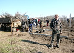 В Уманському НУС закладено яблуневий навчально-дослідний сад