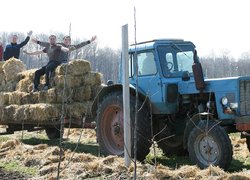 В Уманському НУС закладено яблуневий навчально-дослідний сад