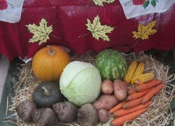 Дари природи очима студентів факультету агрономії