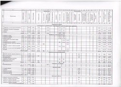 Штатний розпис Уманського НУС на 2017 рік
