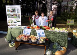 Віват, Університет!