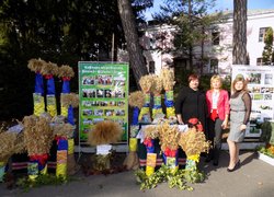 Віват, Університет!