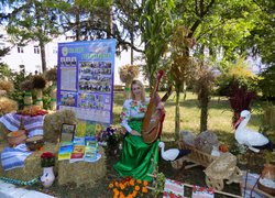 Віват, Університет!