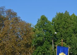 Віват, Університет!