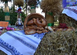 Віват, Університет!