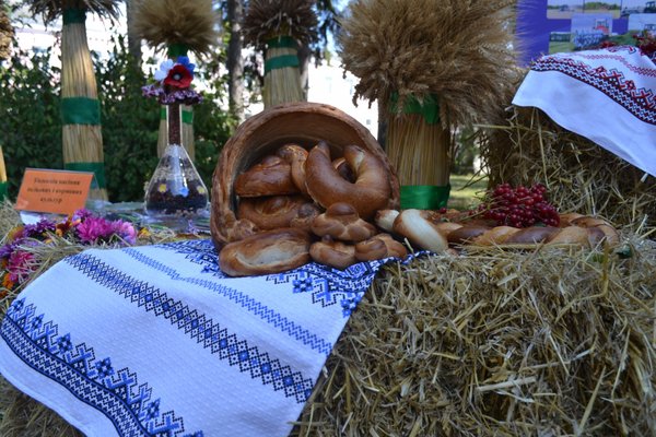 Віват, Університет!