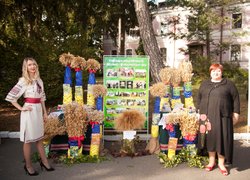 Віват, Університет!