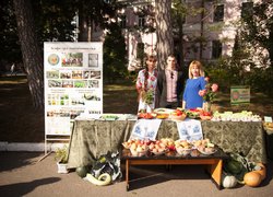 Віват, Університет!