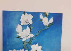 Магія квітів від науковця Уманського НУС