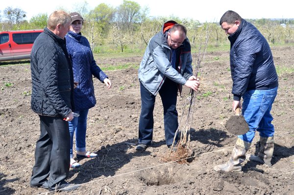 Новому яблуневому саду УНУС  цвісти!