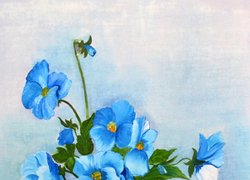 Мелодія жіночої душі звучала в Уманському НУС