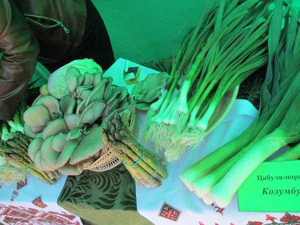 Уманський НУС учасник Всеукраїнського AGROSHOW UKRAINE 2017