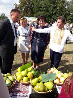 Тобі, Україно!