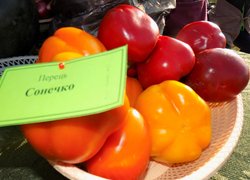 Тобі, Україно!