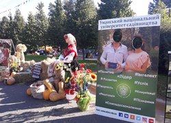 З Днем народження, рідне місто!