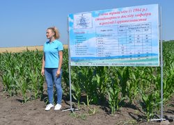 Інноваційність та актуальність наукових досліджень вчених УНУС