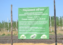Українські садівники зібралися в Уманському НУС
