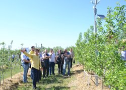 Українські садівники зібралися в Уманському НУС