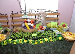 Уманський НУС гостинно зустрічав відвідувачів