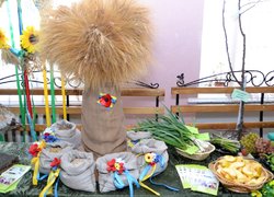 Уманський НУС гостинно зустрічав відвідувачів