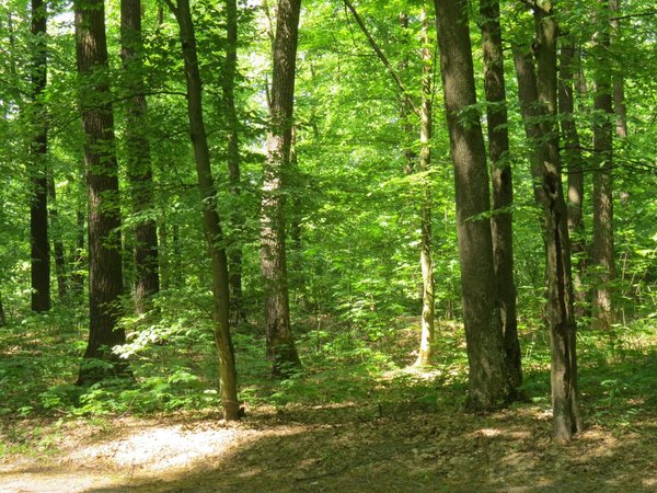 Професії творчих і креативних