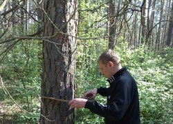 Професії творчих і креативних