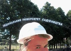 Професії творчих і креативних