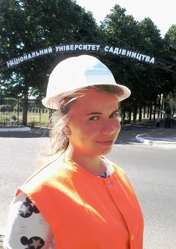 Професії творчих і креативних
