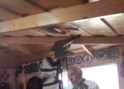 Колоритна зустріч з весною в Карпатах