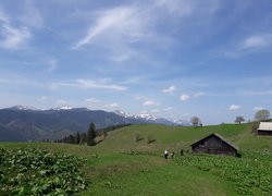Колоритна зустріч з весною в Карпатах