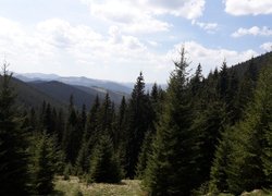 Колоритна зустріч з весною в Карпатах