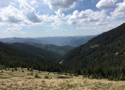 Колоритна зустріч з весною в Карпатах
