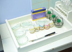 Створення сучасного освітнього середовища в аспекті викладання біології та хімії в Новій українській школі розглядали в Уманському НУС