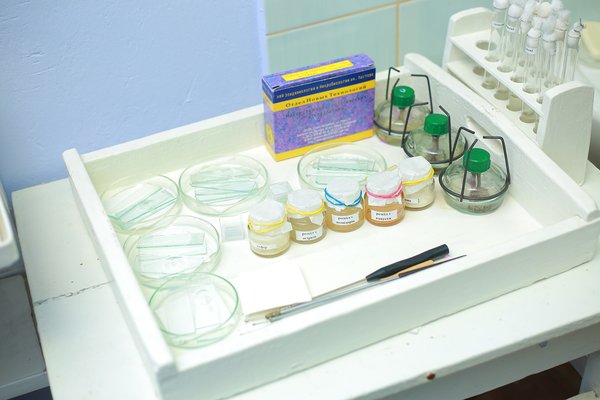 Створення сучасного освітнього середовища в аспекті викладання біології та хімії в Новій українській школі розглядали в Уманському НУС
