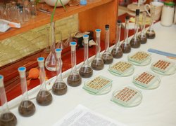 Створення сучасного освітнього середовища в аспекті викладання біології та хімії в Новій українській школі розглядали в Уманському НУС
