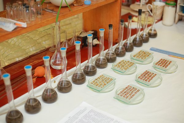 Створення сучасного освітнього середовища в аспекті викладання біології та хімії в Новій українській школі розглядали в Уманському НУС