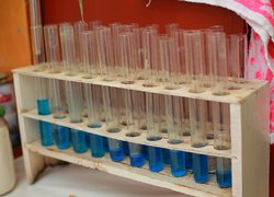 Створення сучасного освітнього середовища в аспекті викладання біології та хімії в Новій українській школі розглядали в Уманському НУС